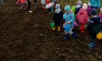 "Dzień Ziemniaka" w przedszkolu
