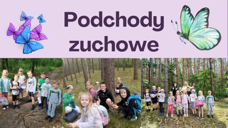 Podchody zuchowe