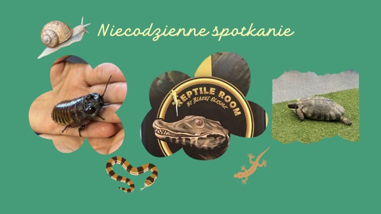 Niecodzienne spotkanie
